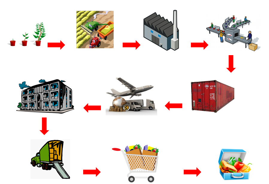 ISD 252 INTRODUCTION TO LOGISTICS AND SUPPLY CHAIN MANAGEMENT (Group 1)