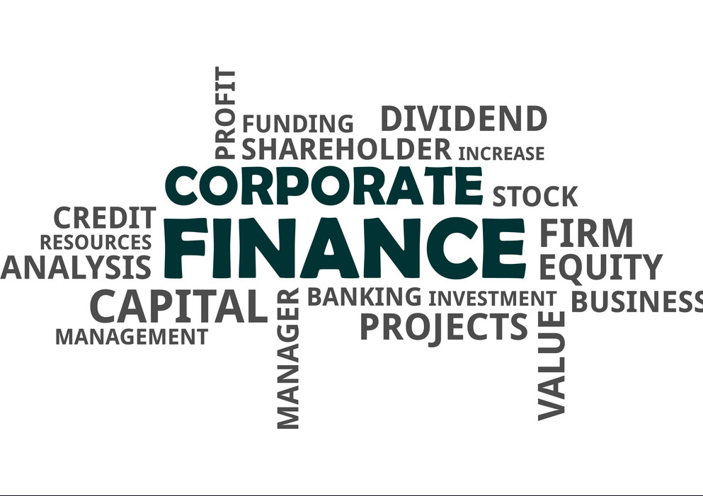 CORPORATE FINANCE AND INVESTMENT (ECONS GRP)